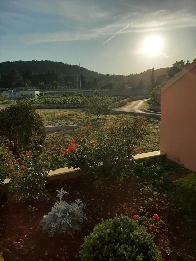 Apartment "Manna Zrnovo Bagian luar foto